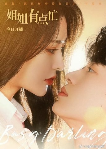 Poster of 姐姐有点忙