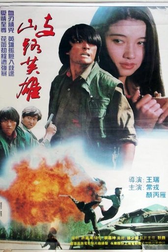 Poster of 歧路英雄