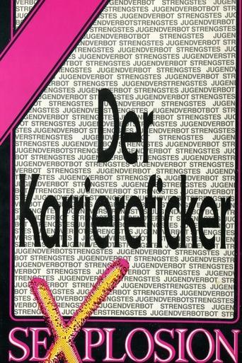 Poster of Der Karriereficker