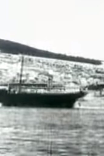 Poster of Port of Šibenik