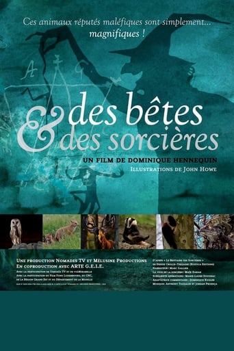 Poster of Des bêtes et des sorcières