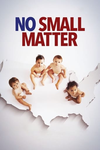 Poster of No Small Matter