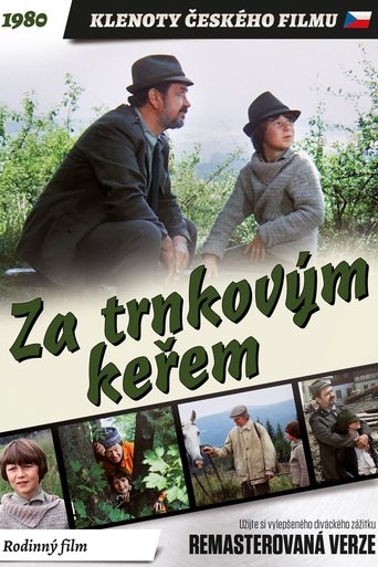 Poster of Behind the Sloe-Bush