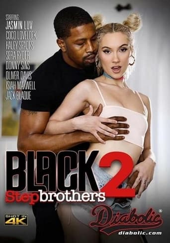 Poster of Black Stepbrothers 2