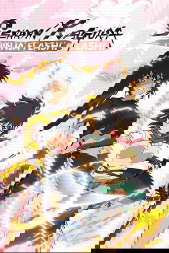 Portrait for Senran Kagura: Ninja Flash - Ninja Flash