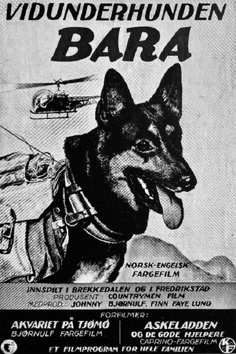 Vidunderhunden Bara Poster of Vidunderhunden Bara