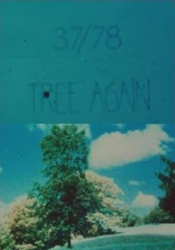 Poster of 37/78: Tree Again