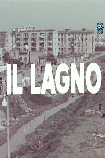 Poster of Il lagno