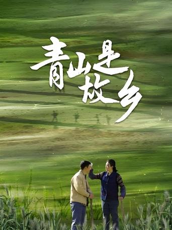 Poster of 青山是故乡