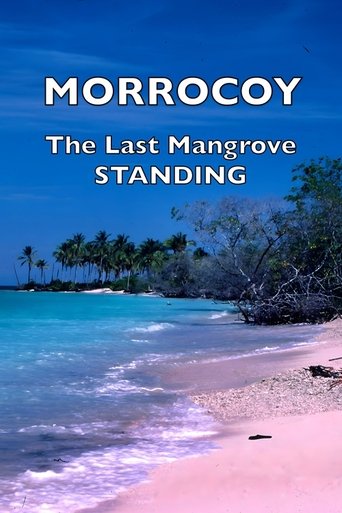 Poster of Morrocoy: The Last Mangrove Standing