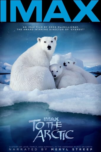 Poster of To the Arctic 3D