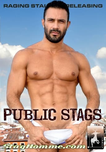 Poster of Public Stags