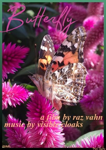 Butterfly Poster of Butterfly