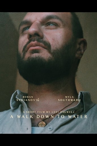 Poster of A Walk Down to Water