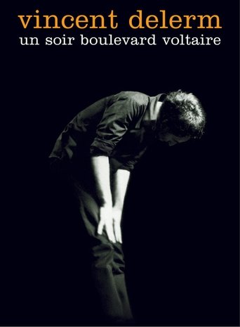 Poster of Vincent Delerm - Un soir boulevard Voltaire