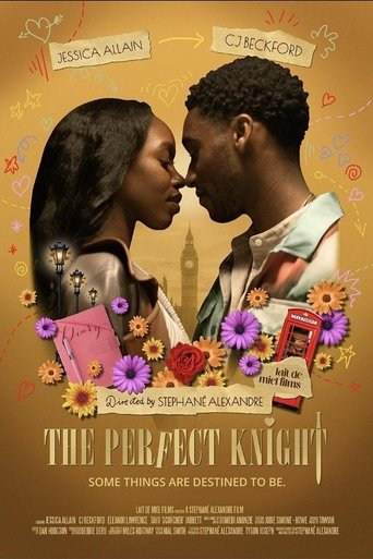 Poster of The Perfect Knight