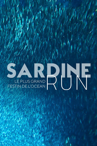 Poster of Sardine Run, le plus grand festin de l'océan