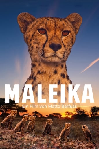 Poster of Maleika