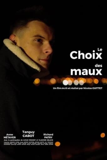 Poster of Le choix des maux