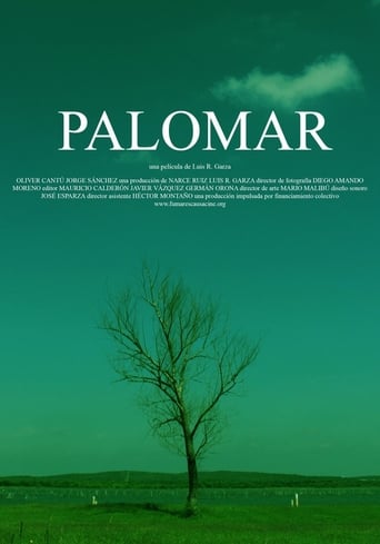 Poster of Palomar