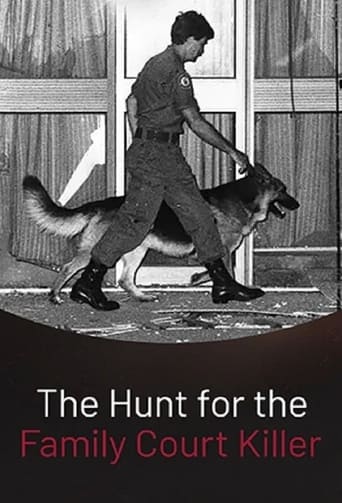 Poster of The Hunt for the Family Court Killer