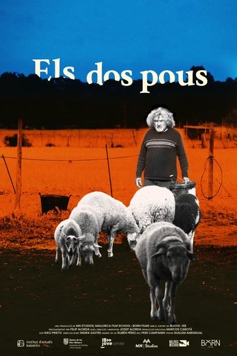 Poster of The two wells