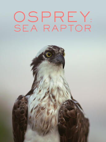 Poster of Osprey: Sea Raptor