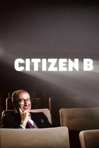 Poster of Citizen B