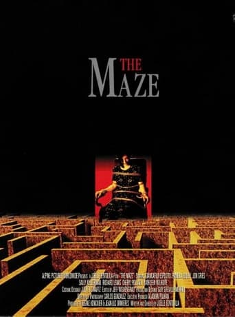 Poster of The Maze