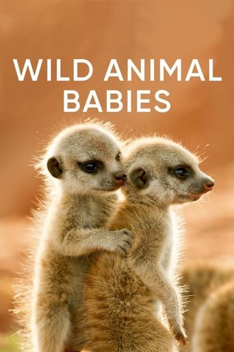 Poster of Wild Animals Babies