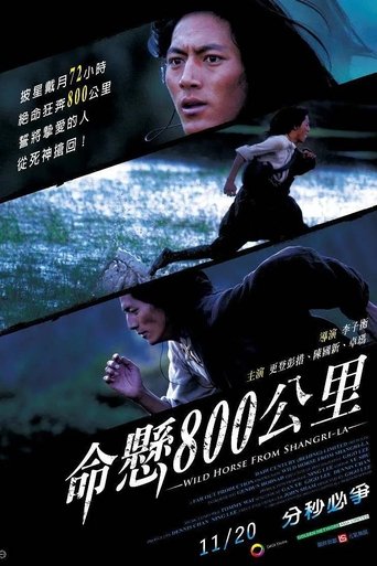 Poster of Wild Horse from Shangri-La