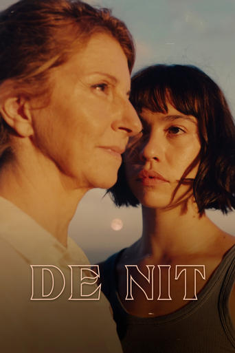 Poster of De nit