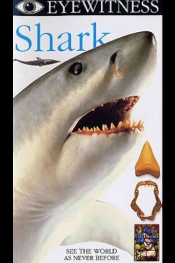 Eyewitness: Shark Poster of Eyewitness: Shark