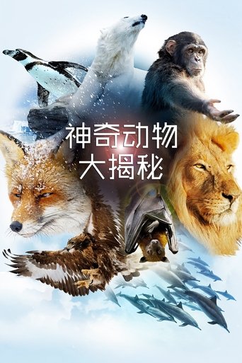 Portrait for The Wonder of Animals - Season 1