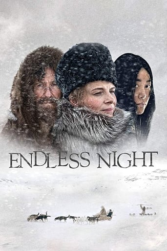 Poster of Endless Night