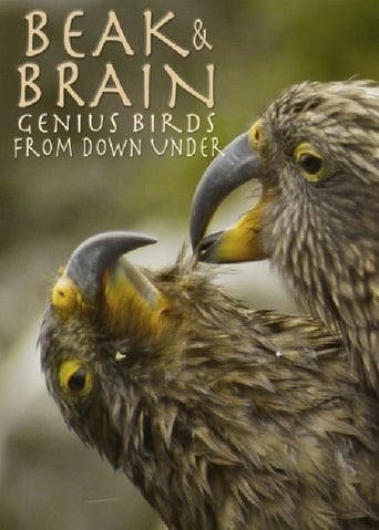 Poster of Beak & Brain - Genius Birds from Down Under