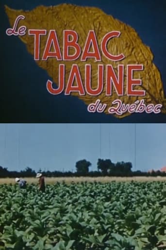 Poster of Yellow Tobacco from Quebec