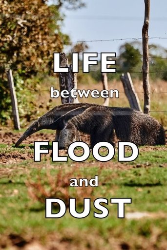 Poster of Life between Flood and Dust