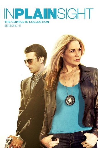 Poster of In Plain Sight