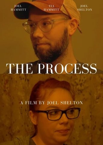 Poster of The Process