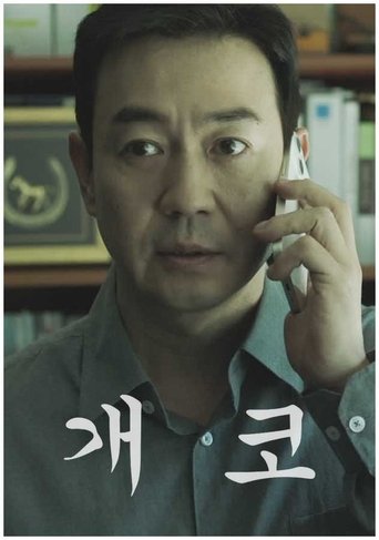 Poster of The Wild River