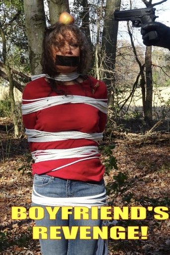 Poster of Boyfriend's Revenge