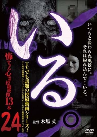 Poster of 「Iru.」~ Kowasugiru Tōkō Eizō 13-hon ~ Vol.24