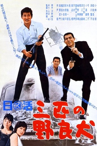 Poster of Three Stray Dogs