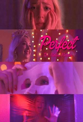 Poster of Perfect