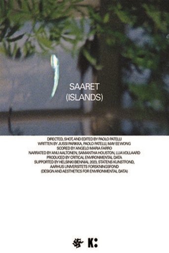 Poster of Saaret