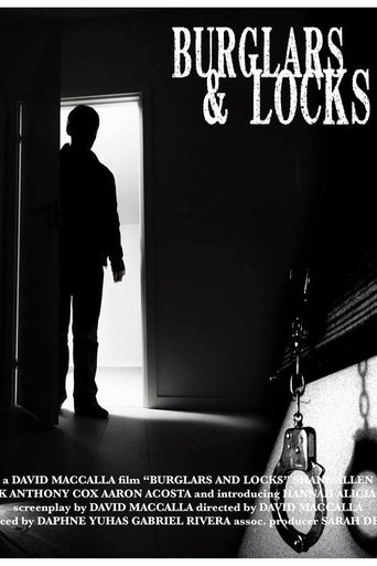 Poster of Burglars & Locks