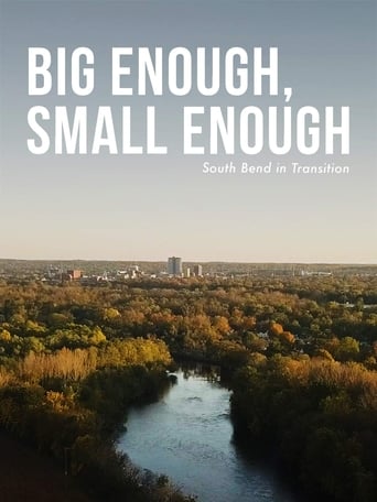 Poster of Big Enough, Small Enough