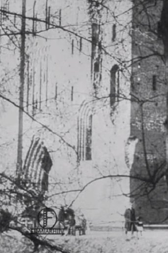 Poster of Historical Remembrances of Estonia's Past