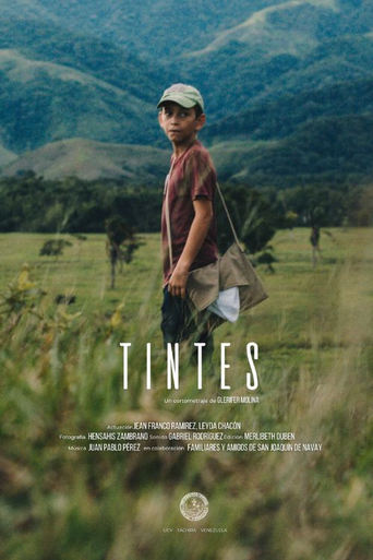 Poster of Tintes